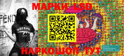крисы Беслан